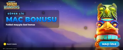 Totem Mucizeleriyle Çevirmeye Başla banner